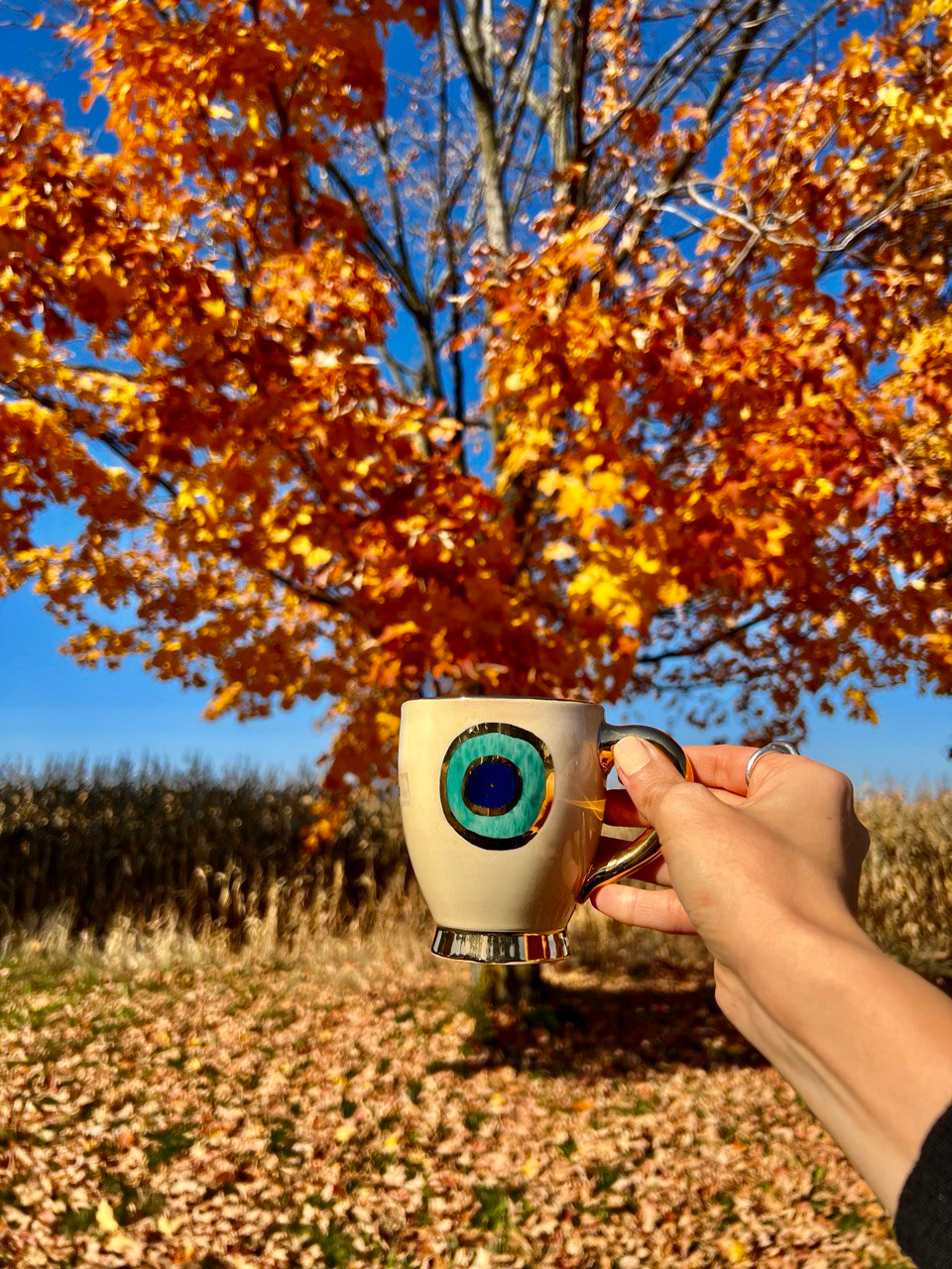 Teacup & Mug Holiday's Gift Wraps